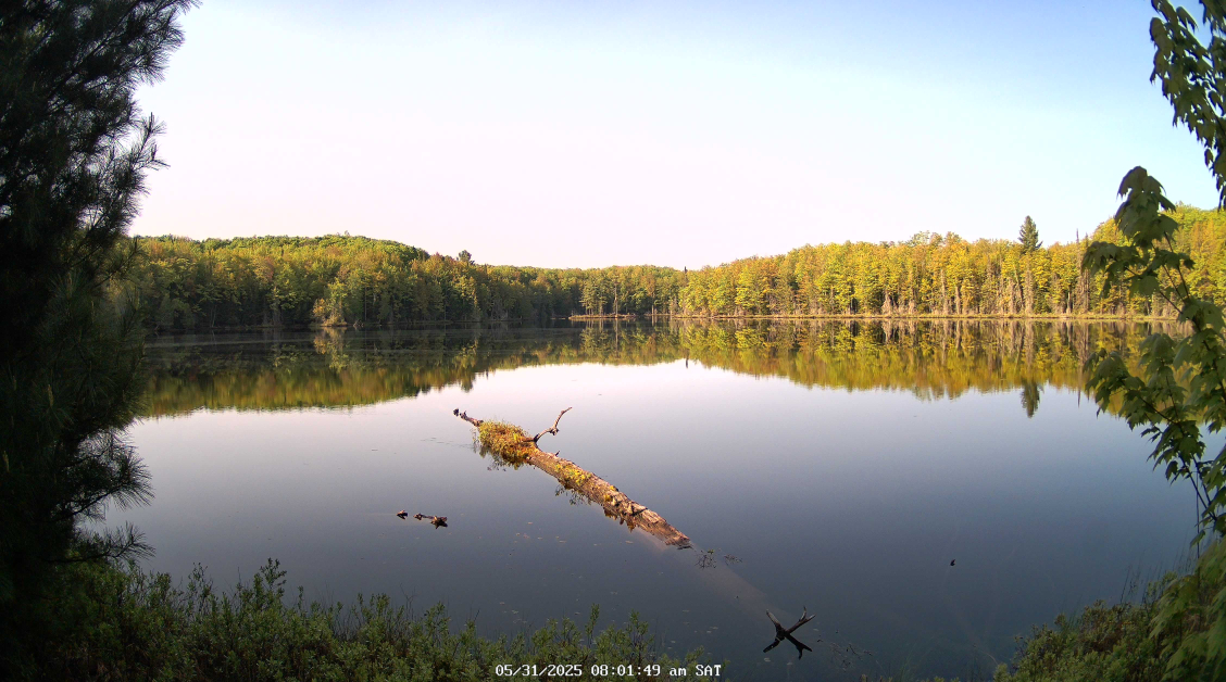 Latest Webcam Image