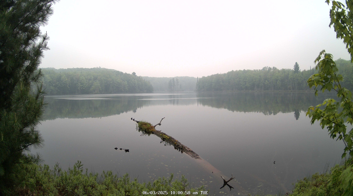 Latest Webcam Image