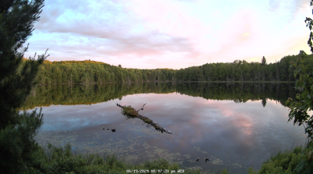 Image from 2024-06-19