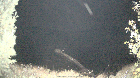 Image from 2024-10-06