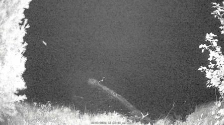 Image from 2024-10-07