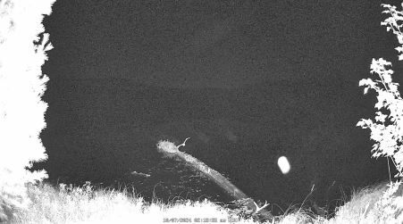 Image from 2024-10-07