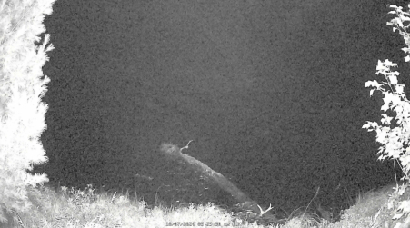 Image from 2024-10-07