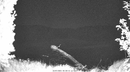 Image from 2024-10-07