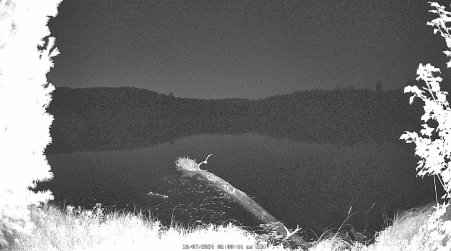 Image from 2024-10-07
