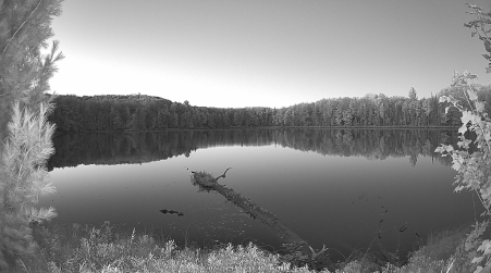 Image from 2024-10-07