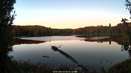 Image from 2024-10-07