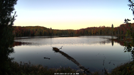 Image from 2024-10-07
