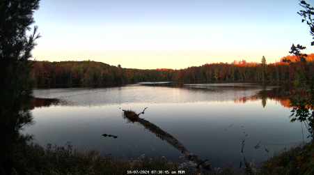 Image from 2024-10-07