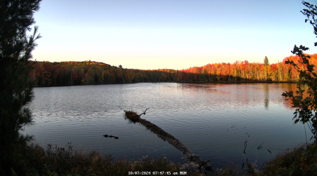 Image from 2024-10-07