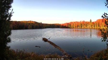 Image from 2024-10-07