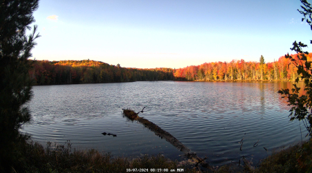 Image from 2024-10-07