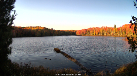Image from 2024-10-07