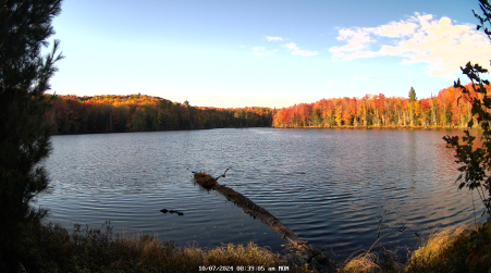 Image from 2024-10-07