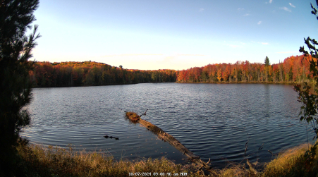 Image from 2024-10-07