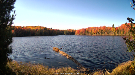 Image from 2024-10-07