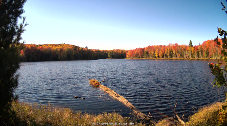 Image from 2024-10-07