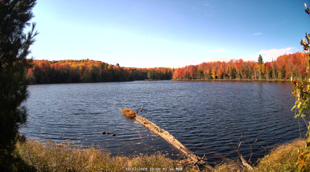 Image from 2024-10-07