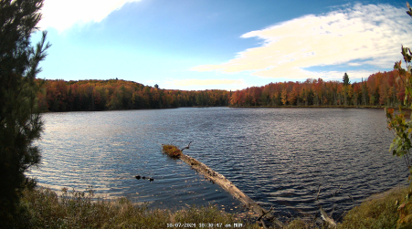Image from 2024-10-07