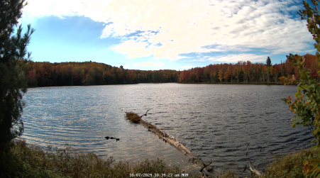 Image from 2024-10-07