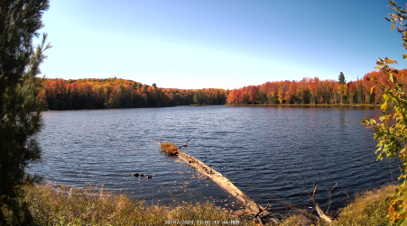 Image from 2024-10-07