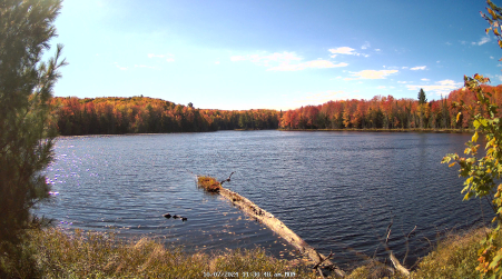 Image from 2024-10-07