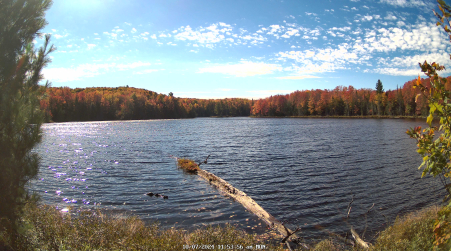 Image from 2024-10-07