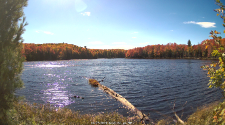 Image from 2024-10-07