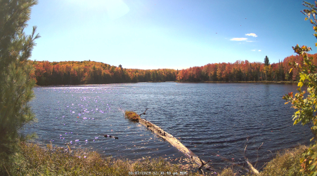 Image from 2024-10-07