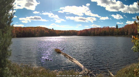Image from 2024-10-07