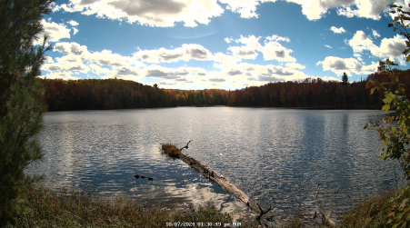 Image from 2024-10-07