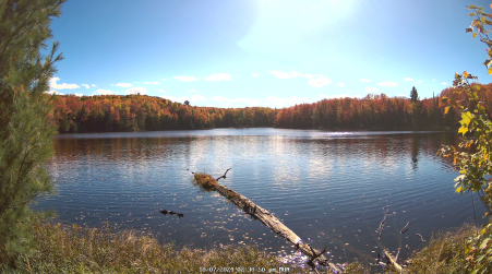 Image from 2024-10-07