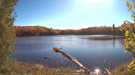 Image from 2024-10-07