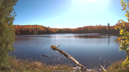 Image from 2024-10-07