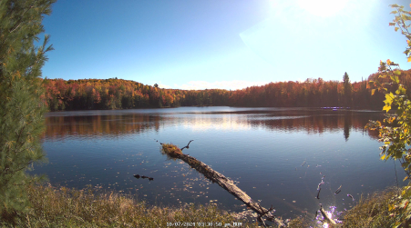 Image from 2024-10-07