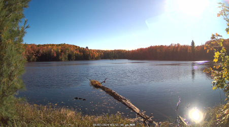 Image from 2024-10-07