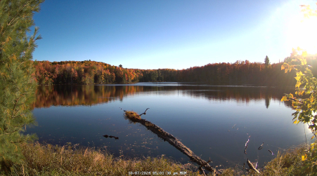 Image from 2024-10-07