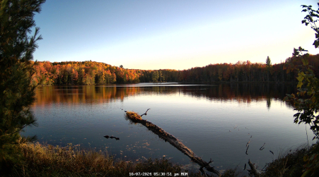 Image from 2024-10-07