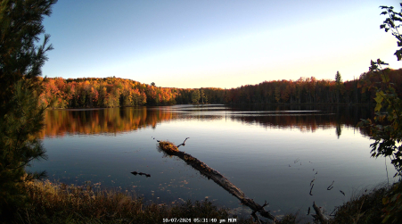 Image from 2024-10-07