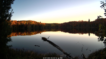 Image from 2024-10-07