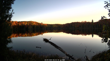 Image from 2024-10-07