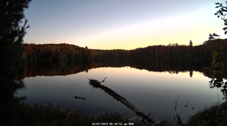 Image from 2024-10-07
