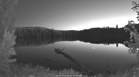 Image from 2024-10-07