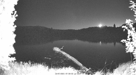 Image from 2024-10-07
