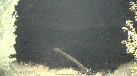 Image from 2024-10-07