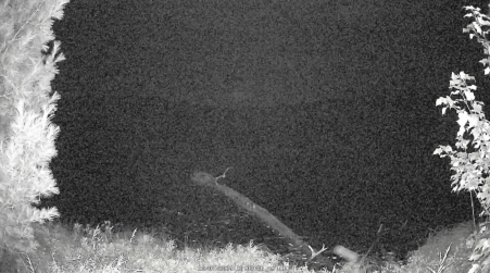 Image from 2024-10-07