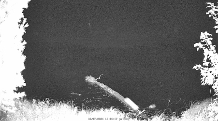 Image from 2024-10-07