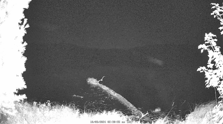 Image from 2024-10-08