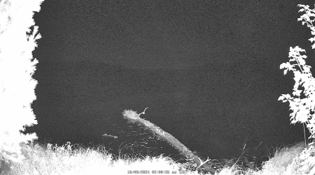Image from 2024-10-08