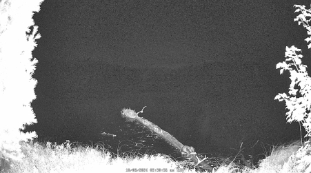 Image from 2024-10-08